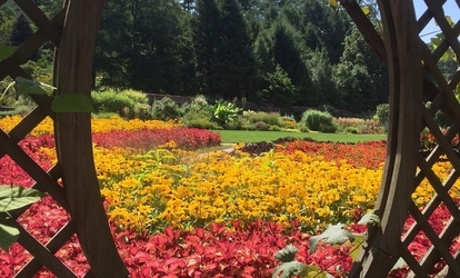 phpThumb generated thumbnail