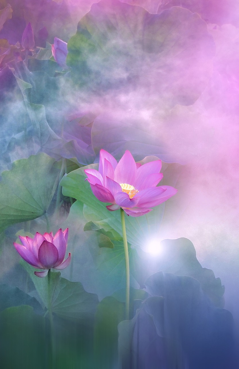 landscape 52e4dd444c 1280