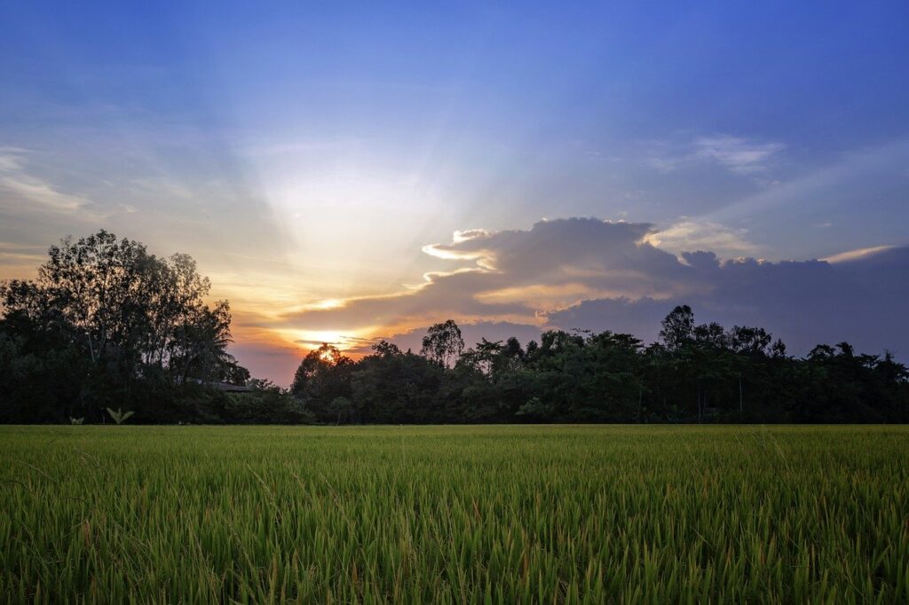 Újabb esély 1 vietnam, landscape, beautiful
