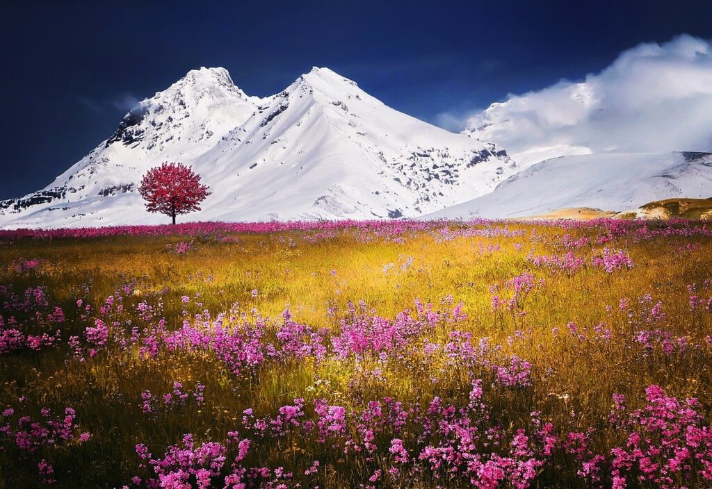 mountains, alps, meadow