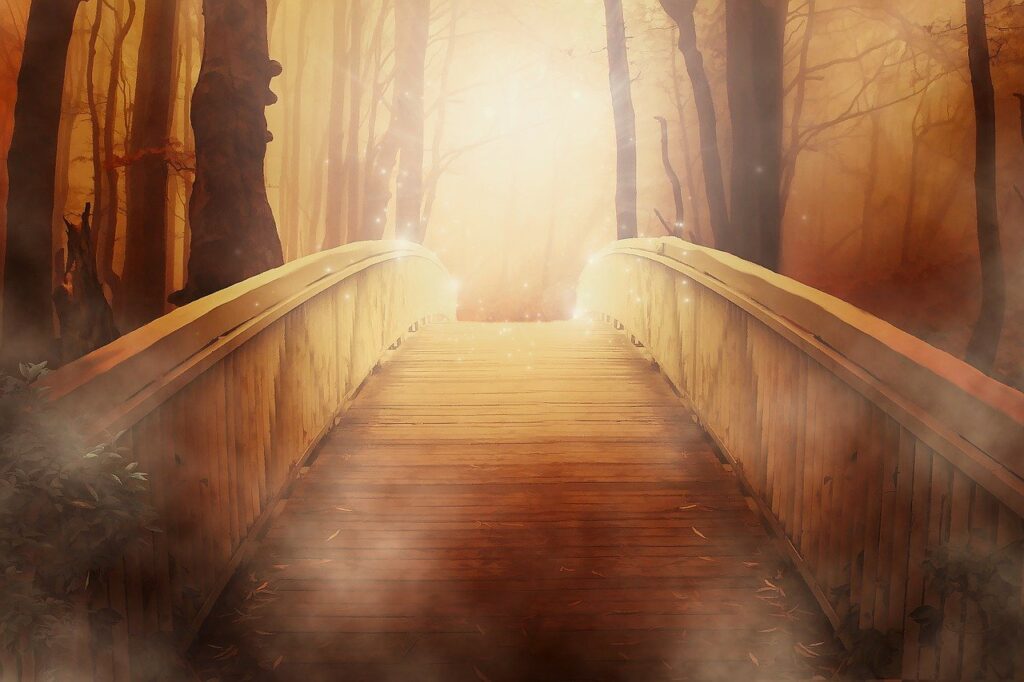 bridge, forest, fantasy