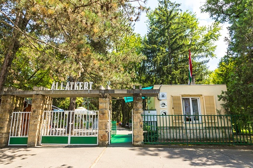 istockphoto 654394982 170667a