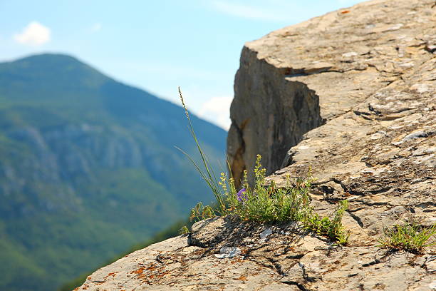 istockphoto 471546170 612x612 1