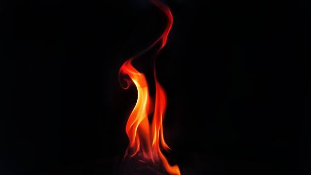 istockphoto 1292281508 612x612 1