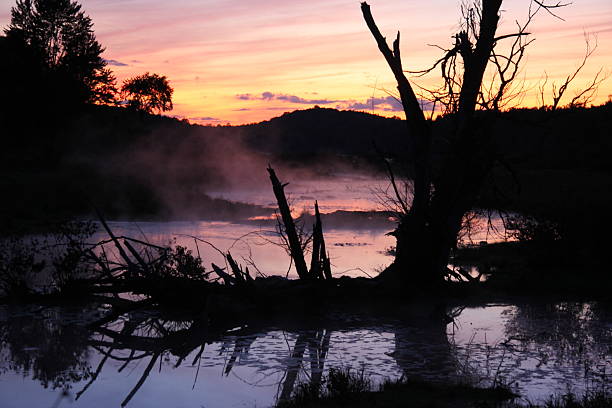 istockphoto 176088897 612x612 1