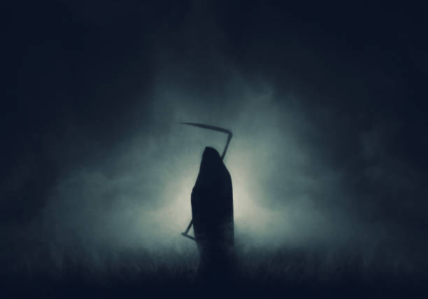 istockphoto 996739482 612x612 1