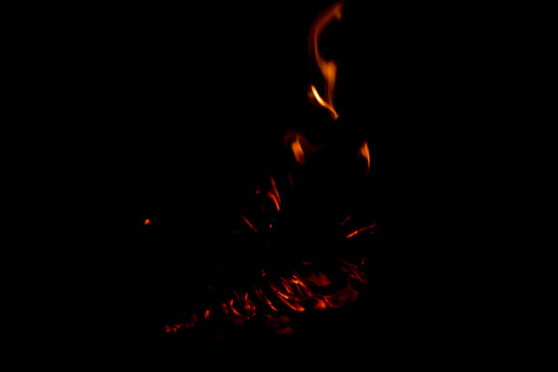 istockphoto 1254231304 612x612 1