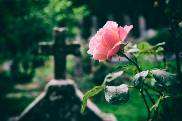 istockphoto 1222775408 612x612 1