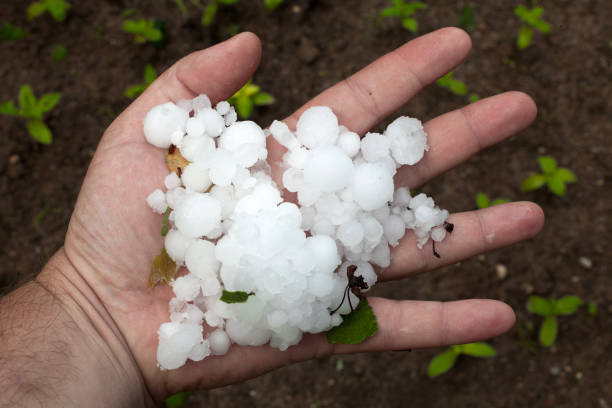 istockphoto 1831358433 612x612 1