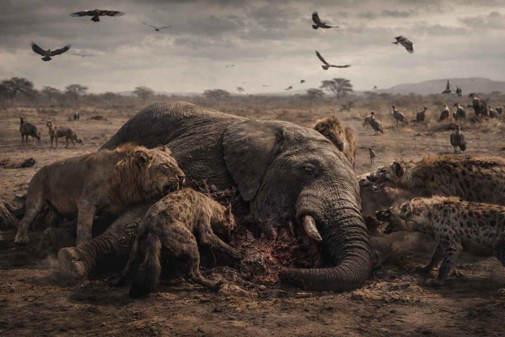 image 1771856347747 compressed