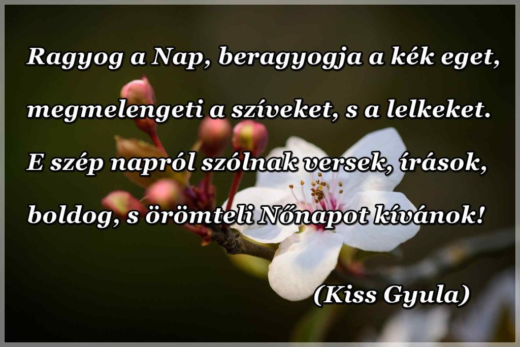 image 1772970829606 compressed